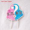Baby Gender Reveal Party Decoration Boy Or Girl Disposable Tableware Pink Blue