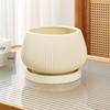 Large Ceramic Plant Pot Set with Tray