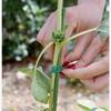 50/100M Nylon Garden Cable Ties Power Wire Loop Tape Flower Cable Tie Wire Multi-function Straps Fastener Reusable Tape Supports