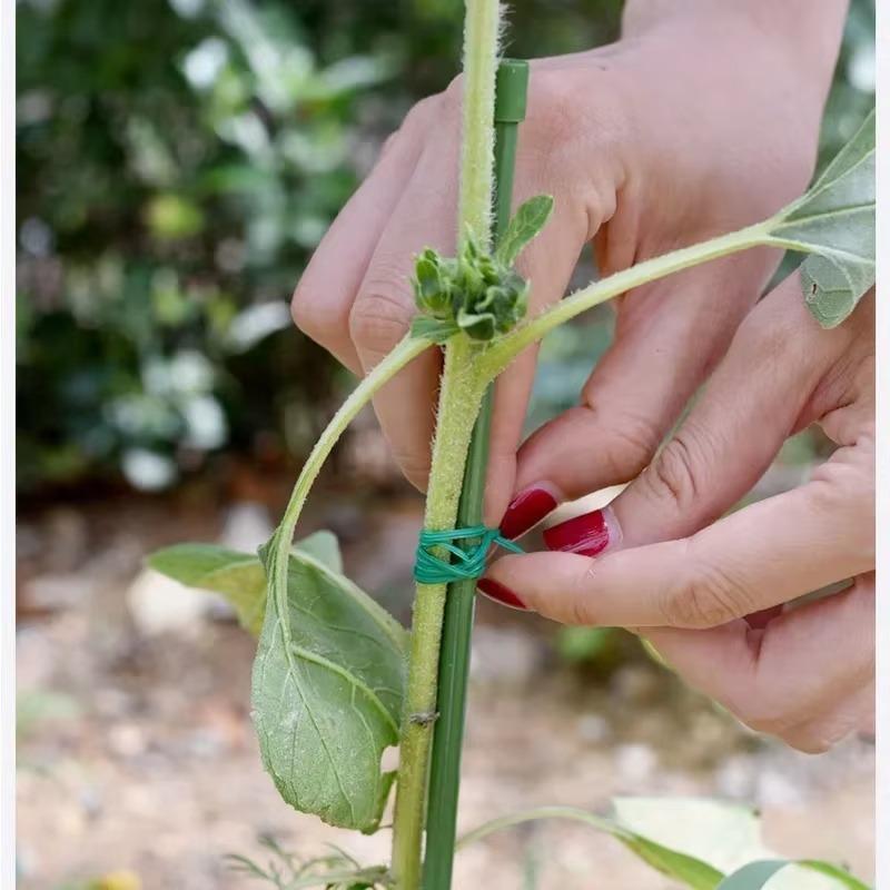 50/100M Nylon Garden Cable Ties Power Wire Loop Tape Flower Cable Tie Wire Multi-function Straps Fastener Reusable Tape Supports