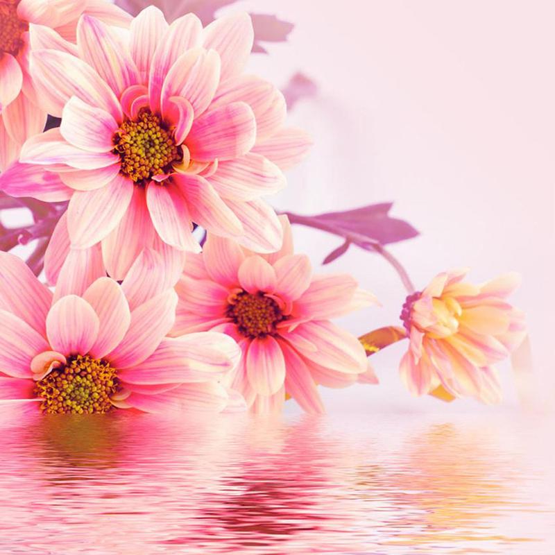 5d Diamond Painting Full Drill Round Flowers Diamond Embroidery Sale Plant Landscape Rhinestones Mosaic Children's Room Decor