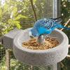 Wear-Resistant Parrot Paw Grinding Bowl Round Parrot Stone Bowl Bird Water Bowl  Cage Accessories