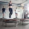 Foldable Commercial Trampoline for Adults and Family