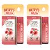 Burt's Bees Tinted Lip Balm Rose 4.25g 2 Pcs