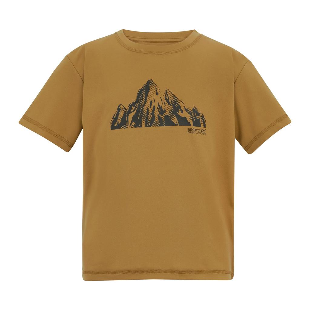 Regatta Childrens/Kids Alvarado Back Print T-Shirt
