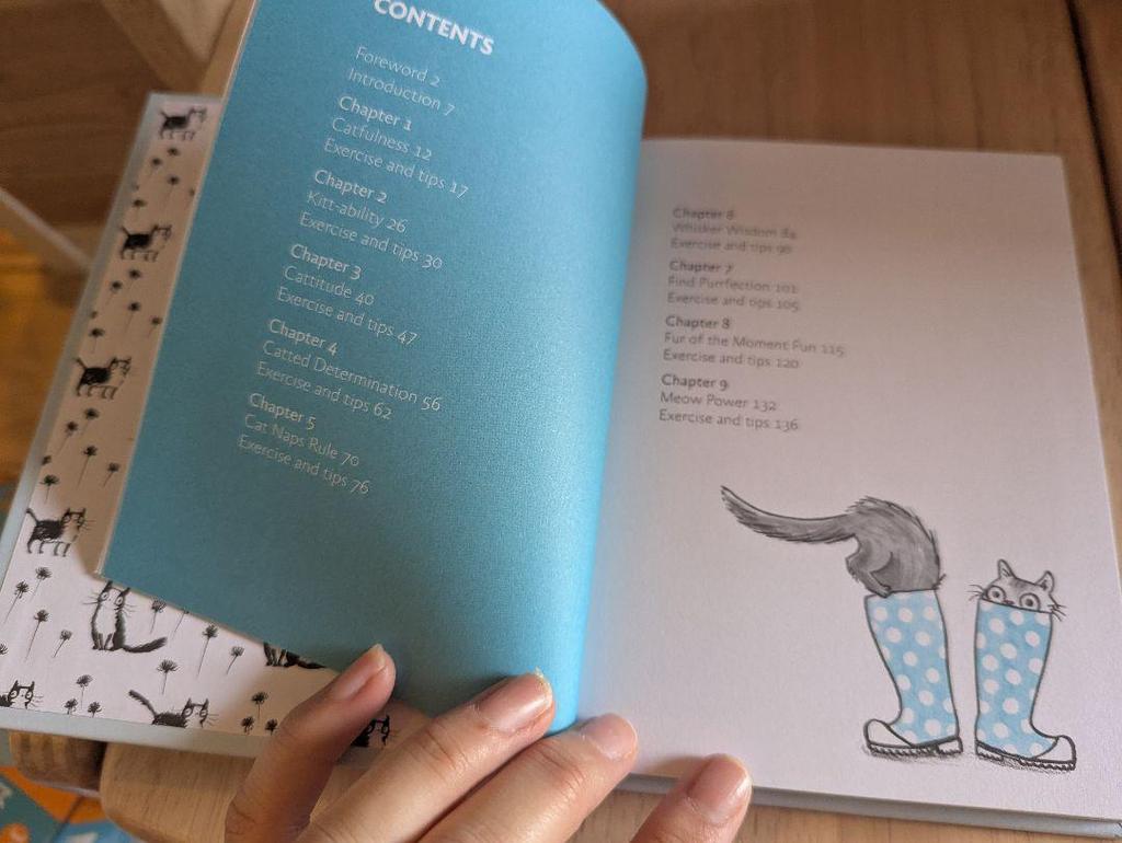 [USED] A small book on cat philosophy that cat lovers will want to keep as a talisman: Be More Cat