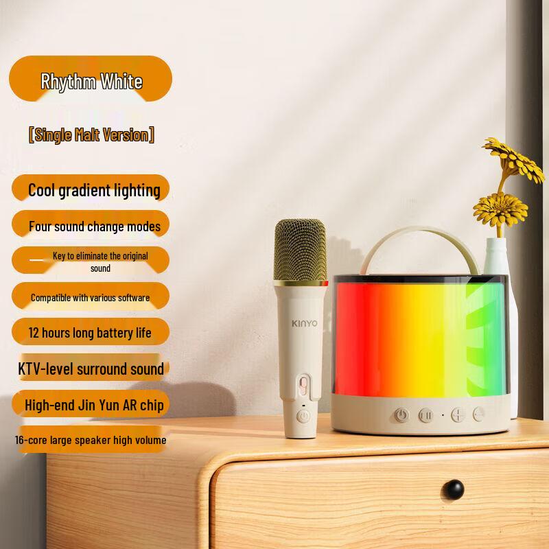 

JinYun K36 Portable Home KTV Speaker System