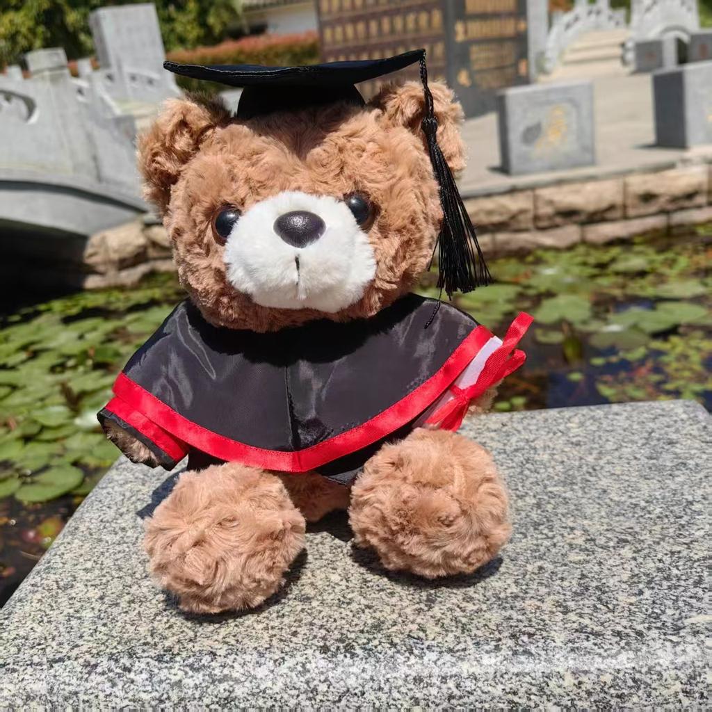 Abschluss Teddybär Stoffpuppe Bachelor Master Doktor Kleidung Puppendesign Geschenk Doktor Bär