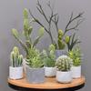 Retro Cement Cactus Bonsai - Small Faux Potted Plant for Office Decoration