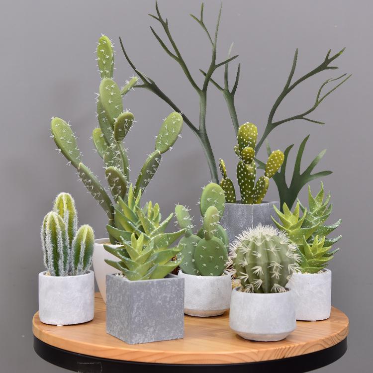 Retro Cement Cactus Bonsai - Small Faux Potted Plant for Office Decoration