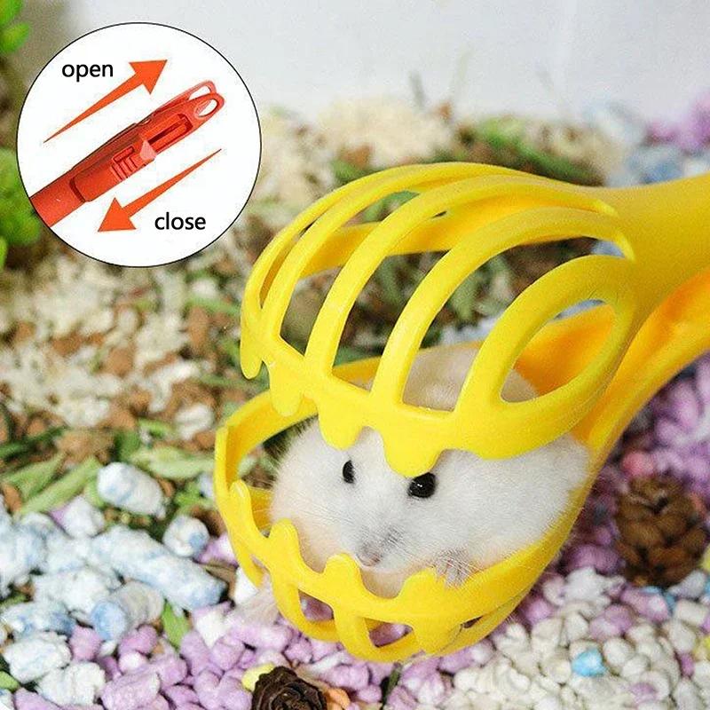 Hamster Clamp Hamster Trap Golden Bear Interactive Toy for Daily Life Landscaping Supplies No Harm To Pets Mouse Trap Practical
