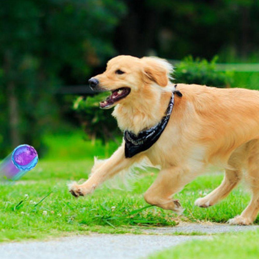 Toys Pet Supplies Relieve Boredom Outdoor Play Sounding Toy Molar Ball Elasticity Ball Dog  Toy