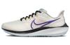 Air Zoom Pegasus 39 Phantom Purple Cerulean Women's DH4072-006