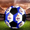 Deportivo de La Coruña Indoor Soccer Ball Colorful Machine Stitched PVC Size 5 Team Training Competition Ready Durable High-Bounce Cool Sports Gift