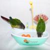 Parrot Automatic Bathtub Blue Plastic Cute Parakeet Lovebird Feeder Bowl Bird Accessories Household Supplies