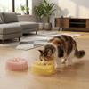 Plastic Pet Floating Water Bowl Large Capacity Pet Water Dispenser Cat Bowl  for Cats and Dogs