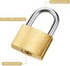 Mini Padlock Small Padlock Solid Brass Locks with 2 Keys for Luggage Lock Backpack Gym Locker Lock Suitcase Lock Classroom Matching Game and More