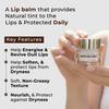 Passion Indulge Mocha Sip Lightweight Coffee Extract Lip Balm | Deep Moisturizing & Nourishing Care for Dry & Chapped Lips | Shea Butter & Hyaluron