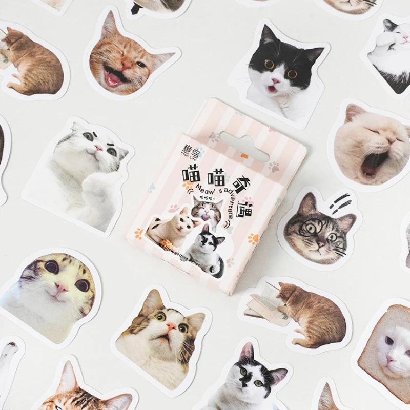 Samolepky Kawaii Black Cat Položky Dekorace Samolepky DIY Handbook Samolepky v krabici Roztomilé samolepky Korejské papírnictví