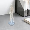 1/12 BJD Doll Stand Accessories with Stable Base Sturdy Durability Multipurpose Practical Portable