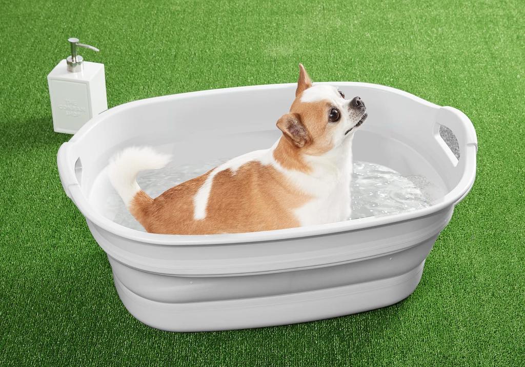 Isetou Pet Bath Soft Tub Wide Exclusive White Gray 23L Width X Depth X Height Cm Made In Japan Foldable with Drain Plug Laundry Basket Outdoor Large