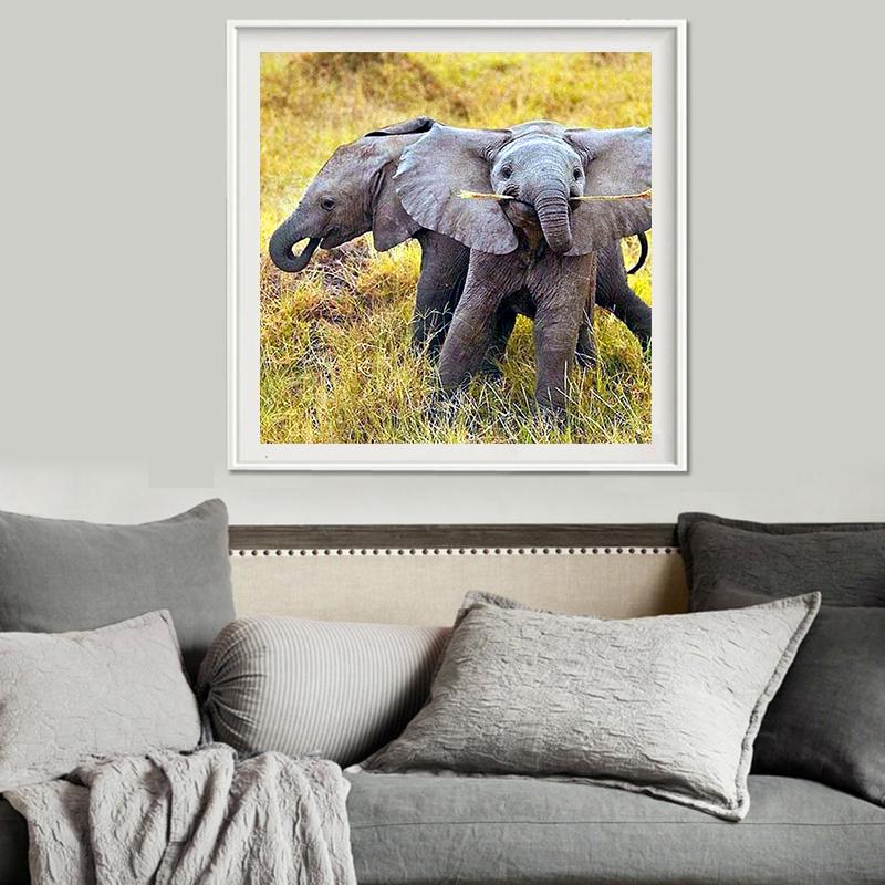 

DP Алмазная вышивка слон 5D Алмазная картина Вышивка крестиком Алмазная мозаика 30*30 cm