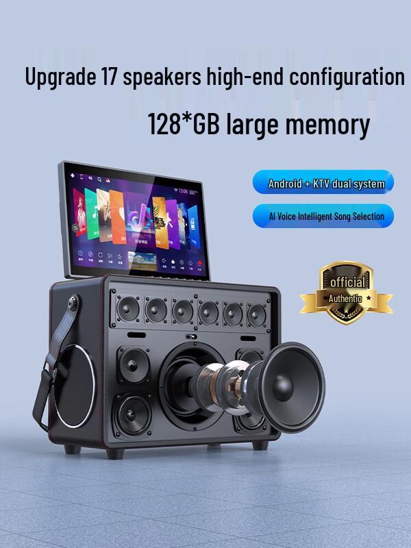 SANSUI All-in-one KTV & Outdoor Speaker System