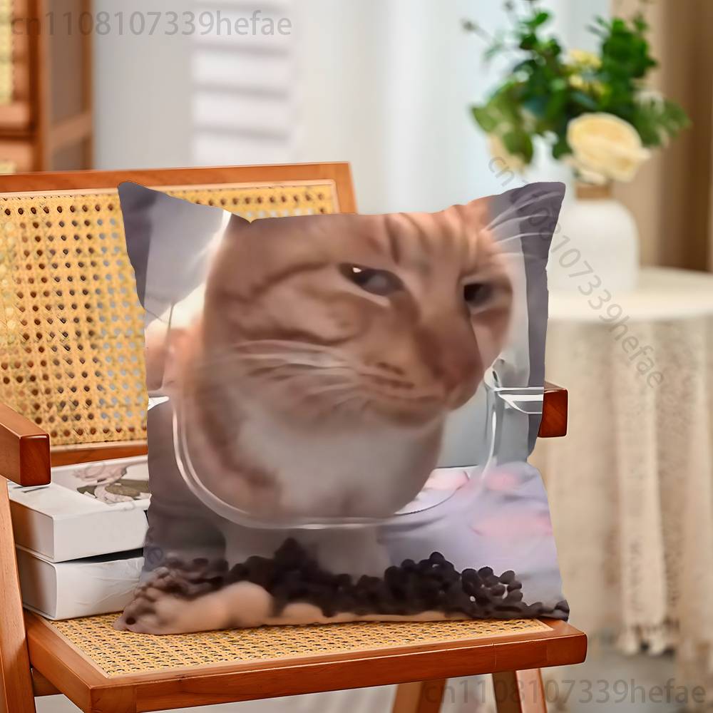 Cat Memes Funny Meme Print Polyester Pillow Case for Valentine Gift Home Sofa Cushion Cover Decoration Custom