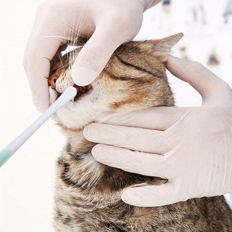 Pet Toothbrush Cat Brush Addition Bad Breath Tartar Teeth Care Dog Cat Cleaning Mouth Dog Cat Care Supplies