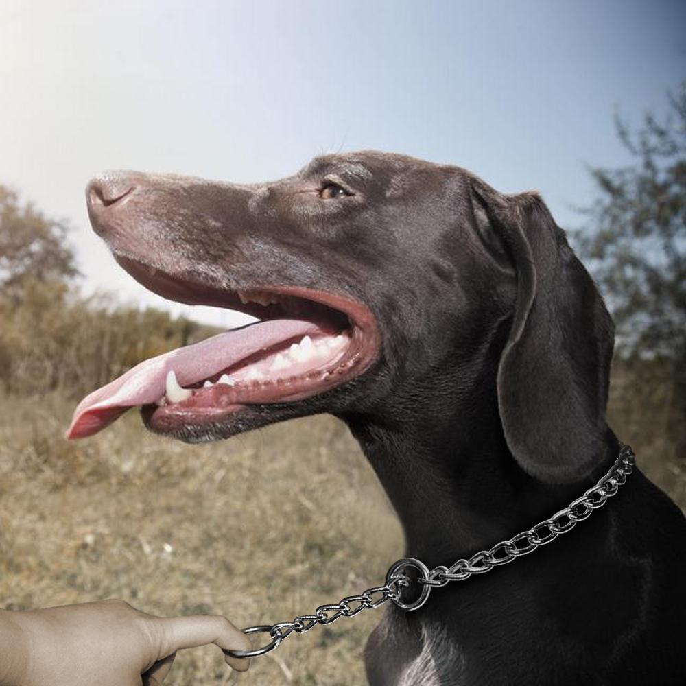 Dog Slip Chains Pet Choke Collar Dog Metal Chain Collars for Small Medium Large Dogs Training Diameter 2.0mm 2.5mm 3.0mm 4.0mm
