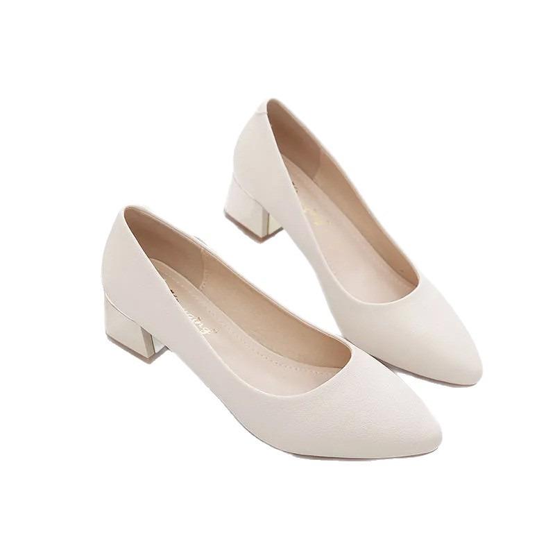 Spring and Summer Four Seasons New Pointed Thick Heel High Heels Women's Mature Casual Professional Dress Work Shoes Women's Single Shoes