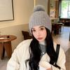 Korean Style Cute Knitted Hat Warm Hat for Women In Autumn and Winter Fashion Versatile Sweet Ear Protection Fashion Wool Hat