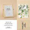 Nordic Creative DIY 3D Dried Flower Frame Kit - Simple Metal & Glass with Glue