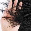 Feather1M Fluffy White Ostrich Feathers Trim Fringe 8-10cm Wedding Party Decoration Feather Ribbon for Dress Clothing  Sewing Crafts
