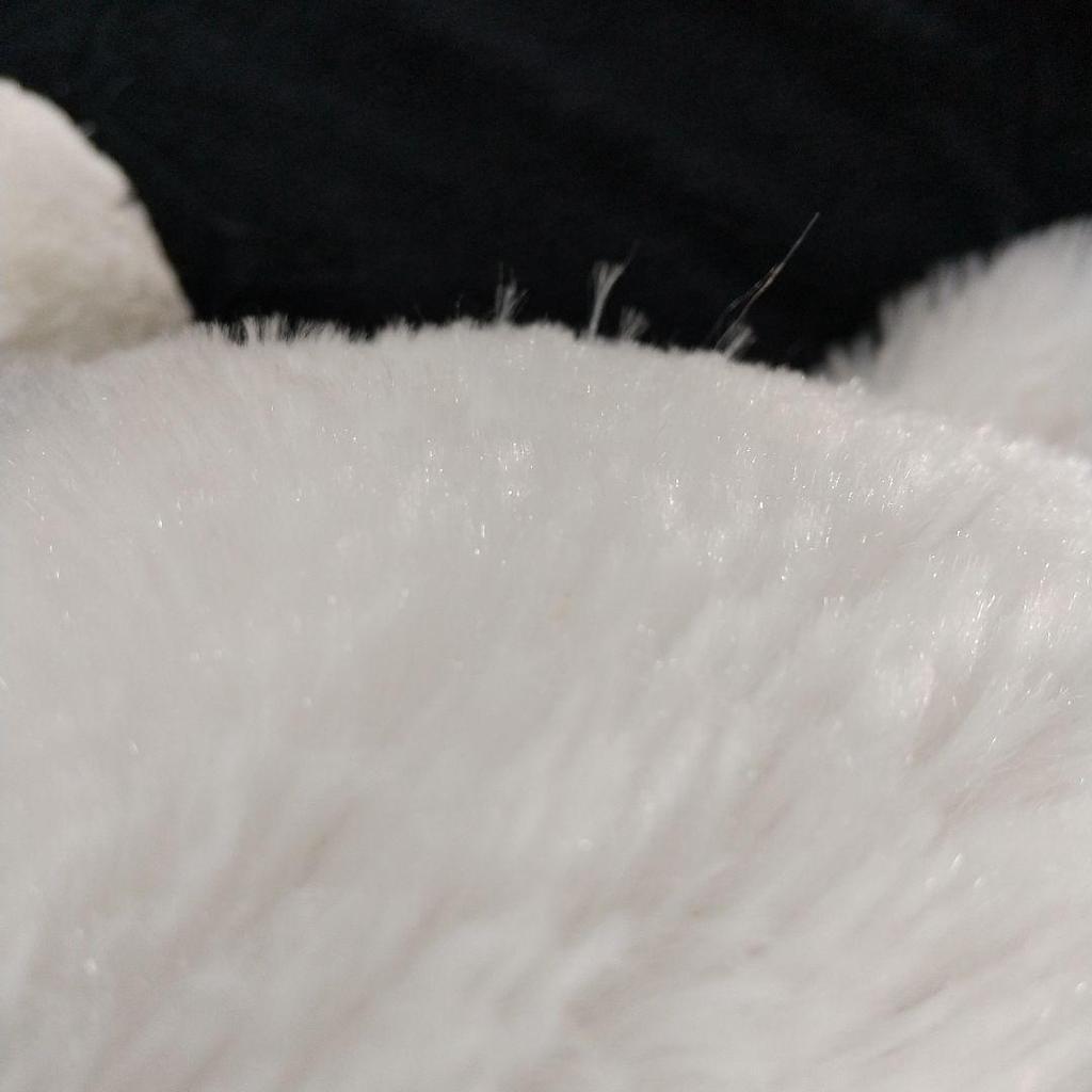 [USED] Precious Teddy Bear Stuffed Animal White