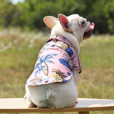 Kleding en schoenen – Vesten en shirts voor honden