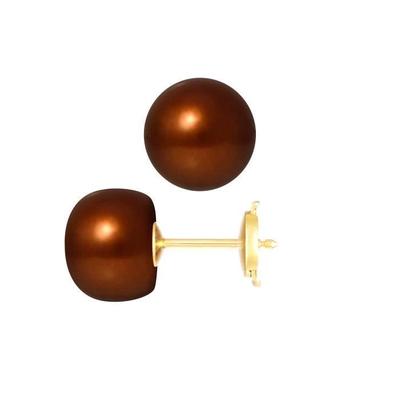Earrings - - Genuine Cultured Pearls 9-10 Mm Chocolate - Yellow Gold - AAA+