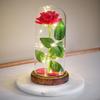 Valentine's Preserved Rose Glass Dome Night Light - Creative Mother's Day Gift for Wife or Girlfriend.