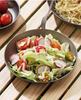 High-End Antibacterial Titanium Dinner Plate: Food-Grade, Multi-Functional, Round, Portable for Household and Outdoor Camping.