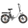 20-inch Folding Electric Bike 250W Motor 48V 16Ah Battery 25km/h 100km Range 20x3.0-inch Fat-Tire Electric Bicycle