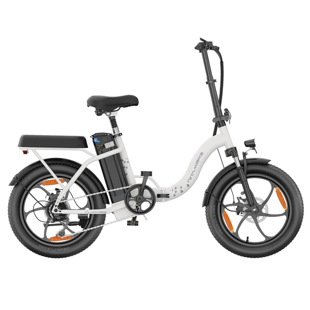 20-inch Folding Electric Bike 250W Motor 48V 16Ah Battery 25km/h 100km Range 20x3.0-inch Fat-Tire Electric Bicycle