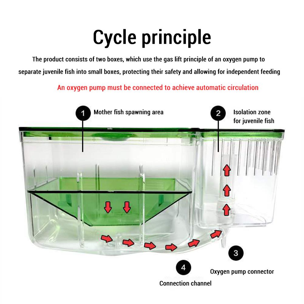 ABS Fish Breeder Box Fish Isolation Box Aquarium Fish Tank Hatchery Incubator Breeding Box For Baby Fish Shrimp Clownfish Guppy
