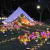 Solar Garden Colorful Butterfly LED Light, Solar Light Outdoor Waterproof, Outdoor Christmas Light, Courtyard Lawn Path Garden Decoration