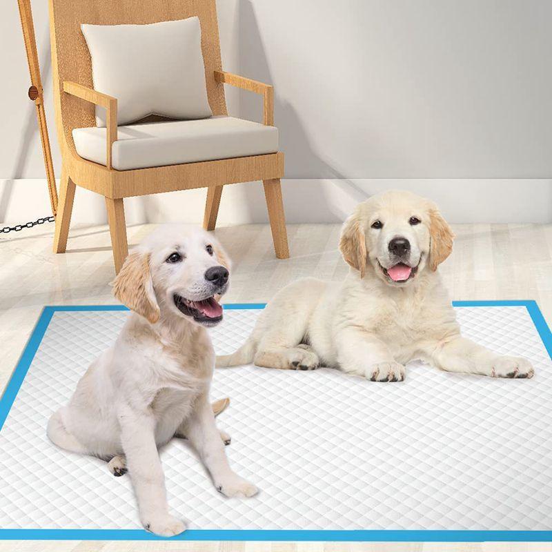 20/40/50/100Pcs 1Pack Super Absorbent Pet Diaper Dog Training Pee Pads Disposable Mat Cat Dog Diapers Quick-dry Surface Mat
