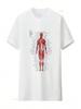 Rzadki Plakat Anatomiczny Biała Koszulka Vintage Spierana Codzienna Graficzna Miękka Stylowa Odzież Projektanta Unisex Moda Oddychająca