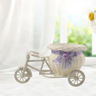 Woven Mini Bike Basket Tricycle Planter Gourd Nostalgic Flower Vase Plant Stand for Take