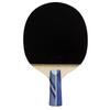 Double Fish 3-Star 3A+ Table Tennis Racket