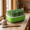2Pcs High Ventilation Germination Tray Double Layer Grow Nursery Plate  Household Cultivation
