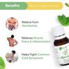 Naturalis Essence of Nature Pepermunt Etherische Olie Onverdund Puur en Natuurlijk Therapeutische kwaliteit voor Stomen, Haar, Huid, Gezicht & Diffuser - 15ml