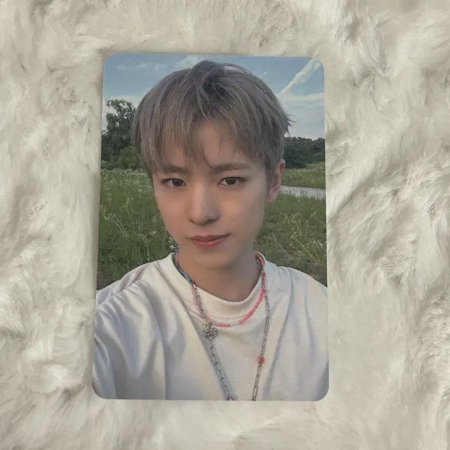 Ncitywish Color Album Foca Apple Music Unreleased Photocard Yuushi